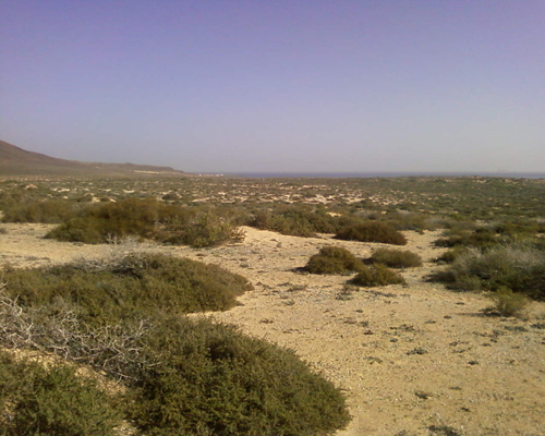 08Graciosa