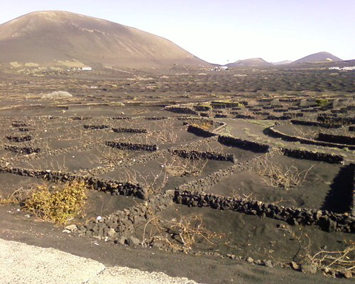 12VignoblesDeLanzarote